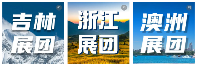 海內(nèi)外展團集體亮相