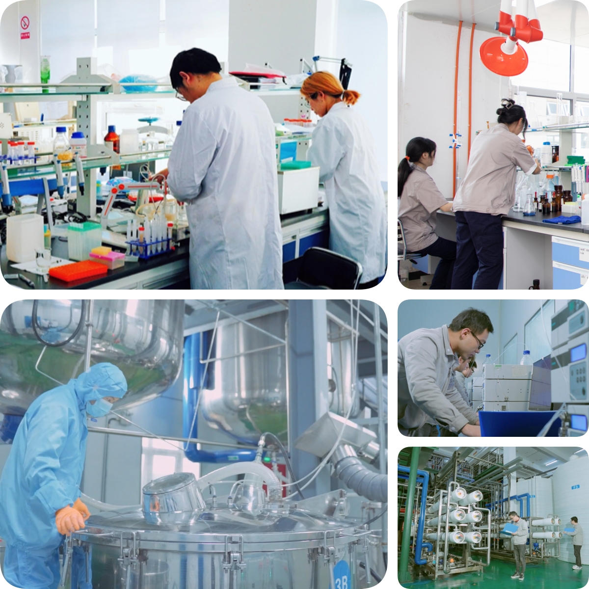 谷胱甘肽是怎么生產的？