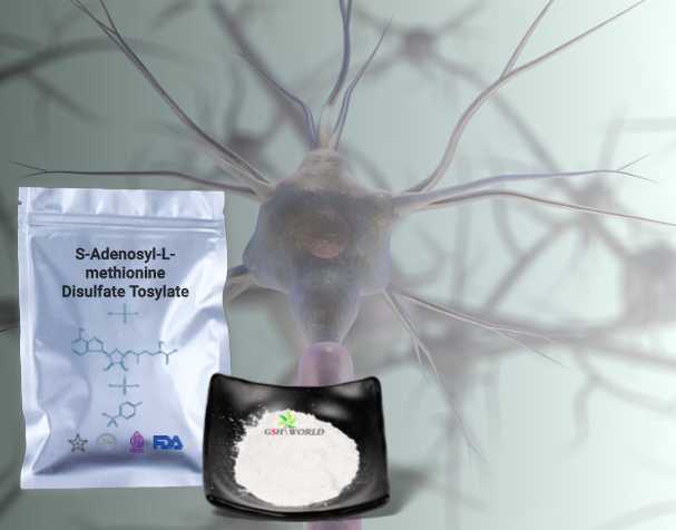 SAMe對(duì)神經(jīng)健康的作用