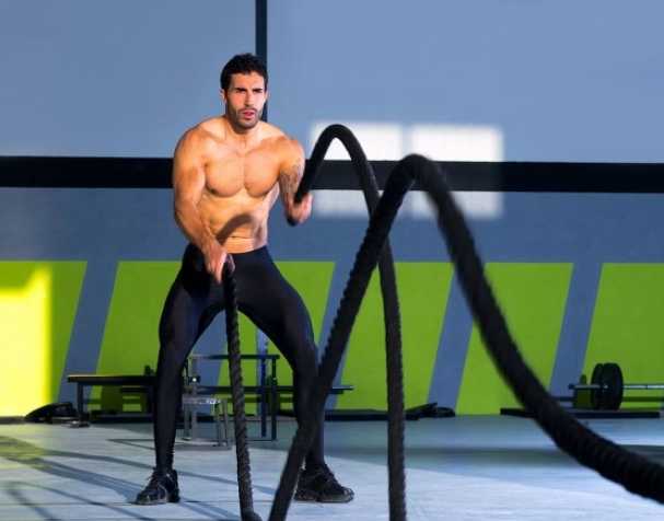 PQQ二鈉鹽：改善肌肉力量的新型膳食營養素