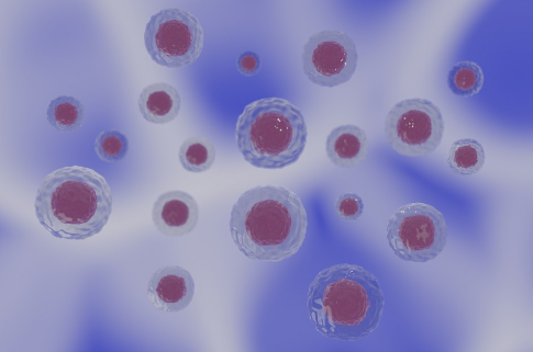 硫辛酸的獨特作用與聯(lián)合應用
