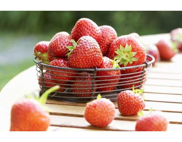 在維持果實營養品質方面，谷胱甘肽表現突出