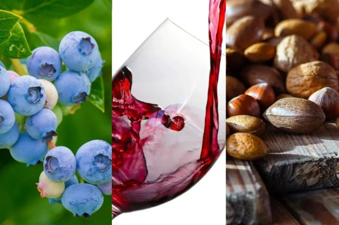 普通促智食物：以間接作用為主的溫和保護路徑