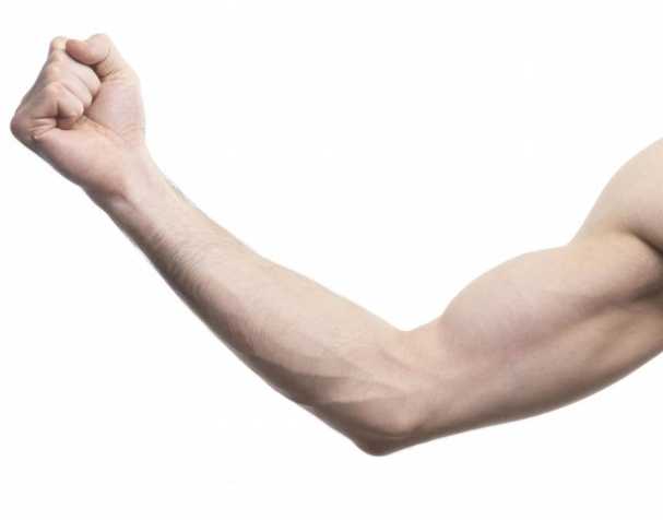 助肌肉功能維護(hù)