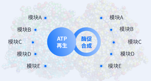 核心技術原理：突破酶促反應能量瓶頸