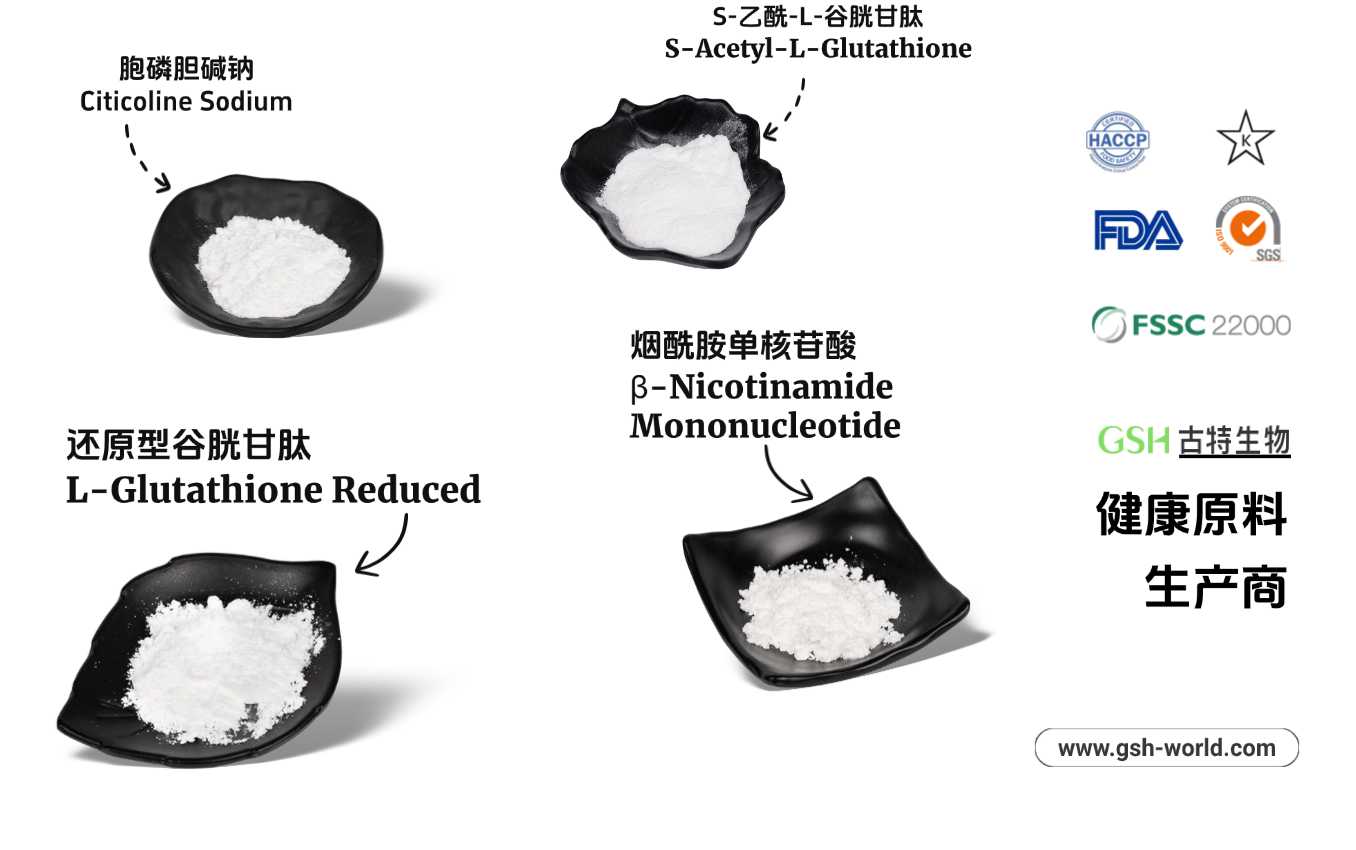 核心產品展示：高純度原料滿足多元需求