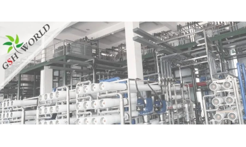 企業動態 - 安慶市區領導對古特生物的生產發展給予充分肯定