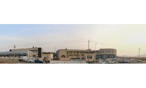 古特生物大事記