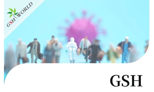 行業關注 - 增強 GSH 可能是對抗新冠疾病的有效療法