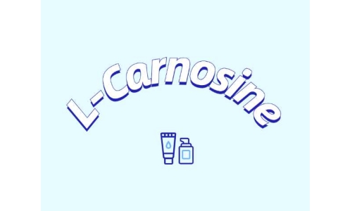 L-肌肽有什么應用？