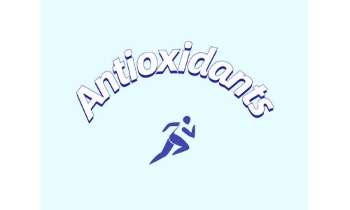 抗氧化補(bǔ)充劑影響脂肪組織