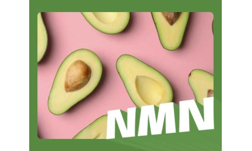 NMN比白藜蘆醇更好嗎?