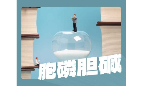 胞磷膽堿比膽堿更好嗎？