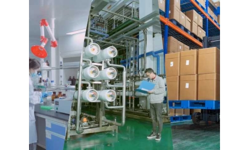 酶法催化賦能：古特生物技術(shù)創(chuàng)新與產(chǎn)業(yè)化實踐