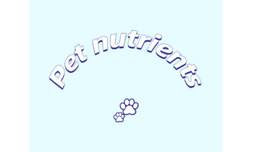 SAMe：寵物健康的天然營養密鑰